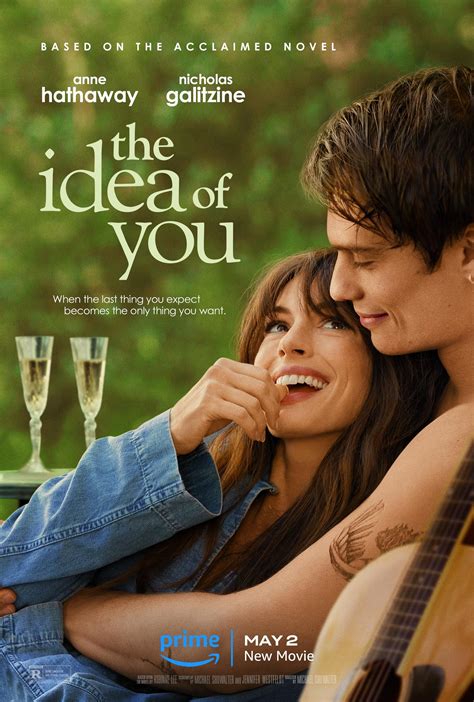 the idea of you synopsis.